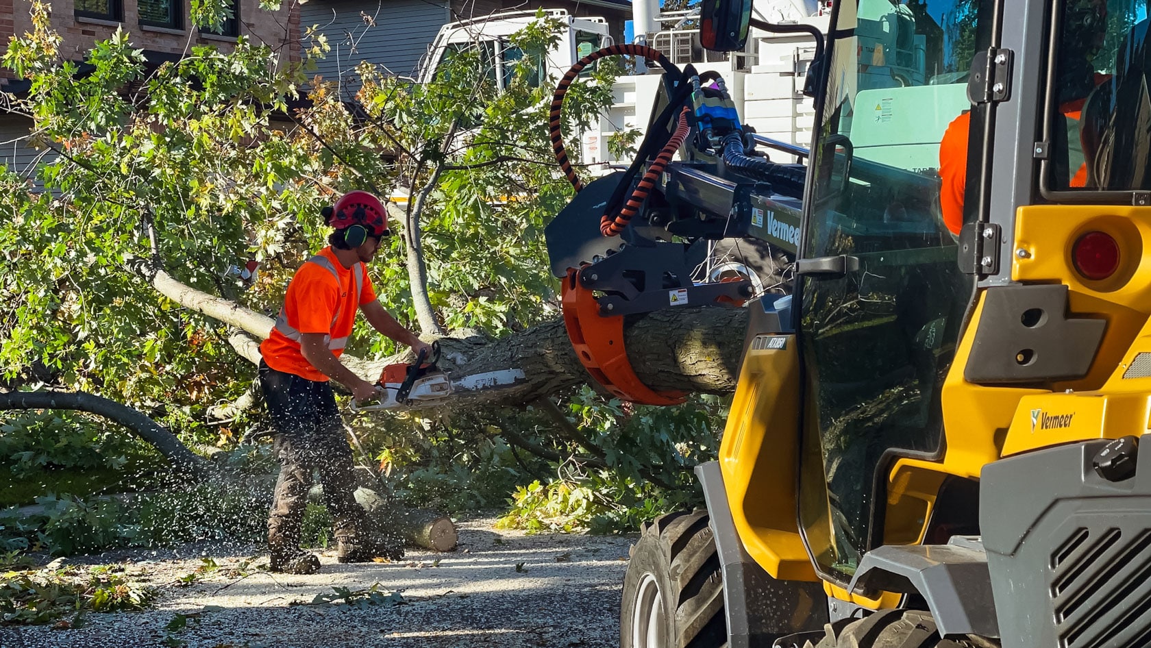 6 Safety Tips for Cutting Down & Removing Trees