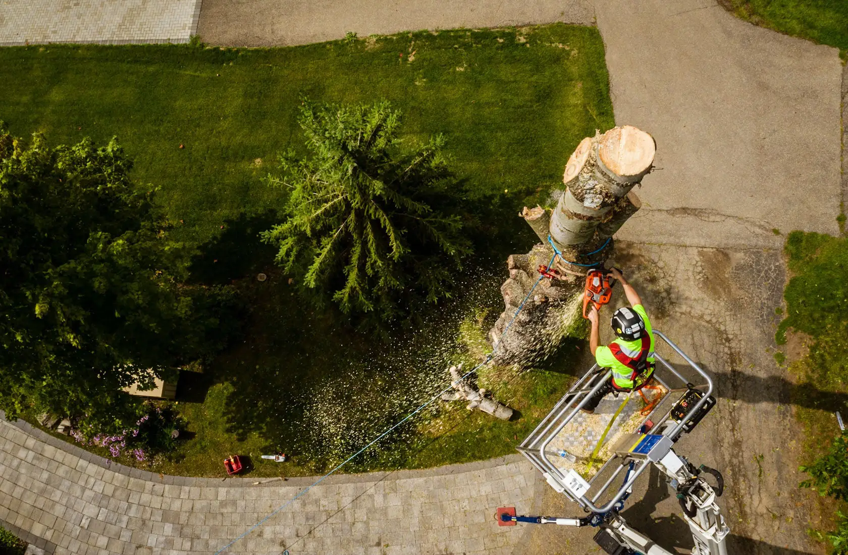 VS Tree in Ottawa removing a large tree from a residential property